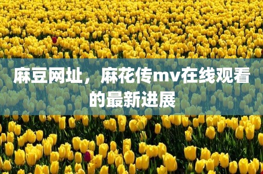 麻豆网址，麻花传mv在线观看的最新进展