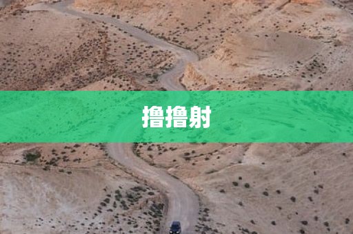 撸撸射