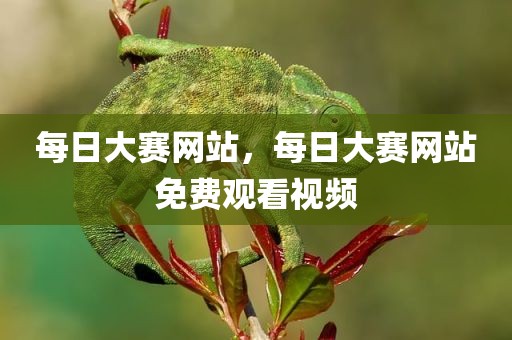 每日大赛网站，每日大赛网站免费观看视频