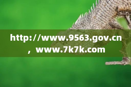 http://www.9563.gov.cn，www.7k7k.com