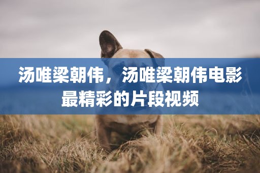 汤唯梁朝伟，汤唯梁朝伟电影最精彩的片段视频