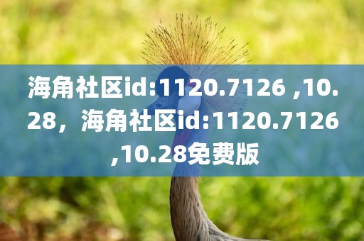 海角社区id:1120.7126 ,10.28，海角社区id:1120.7126 ,10.28免费版