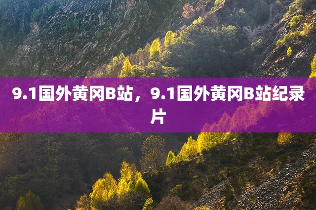 9.1国外黄冈B站，9.1国外黄冈B站纪录片