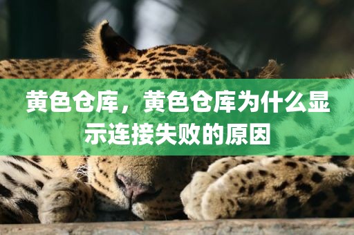 黄色仓库，黄色仓库为什么显示连接失败的原因