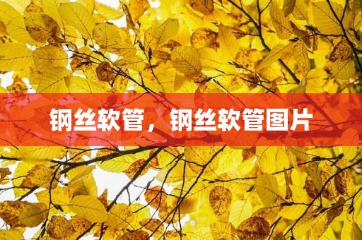 钢丝软管，钢丝软管图片