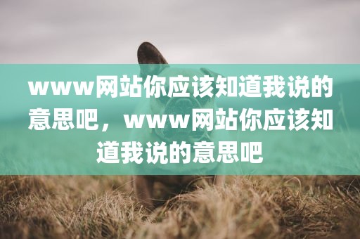 www网站你应该知道我说的意思吧，www网站你应该知道我说的意思吧