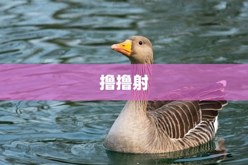 撸撸射