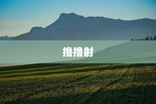 撸撸射