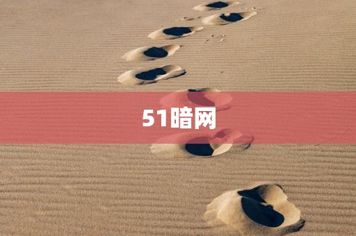51暗网