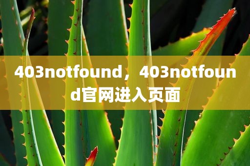 403notfound，403notfound官网进入页面