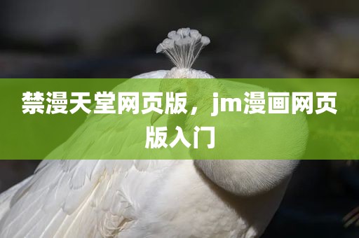 禁漫天堂网页版，jm漫画网页版入门