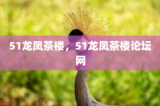 51龙凤茶楼，51龙凤茶楼论坛网
