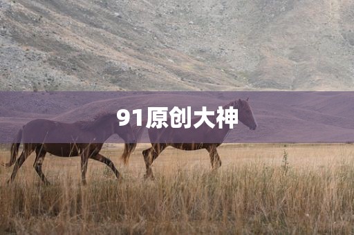 91原创大神