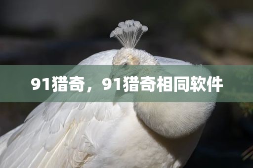91猎奇，91猎奇相同软件