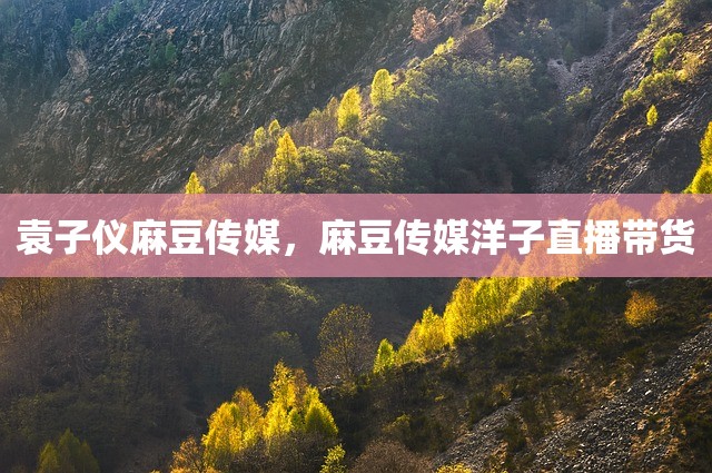 袁子仪麻豆传媒，麻豆传媒洋子直播带货