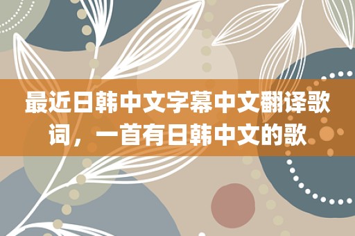 最近日韩中文字幕中文翻译歌词，一首有日韩中文的歌