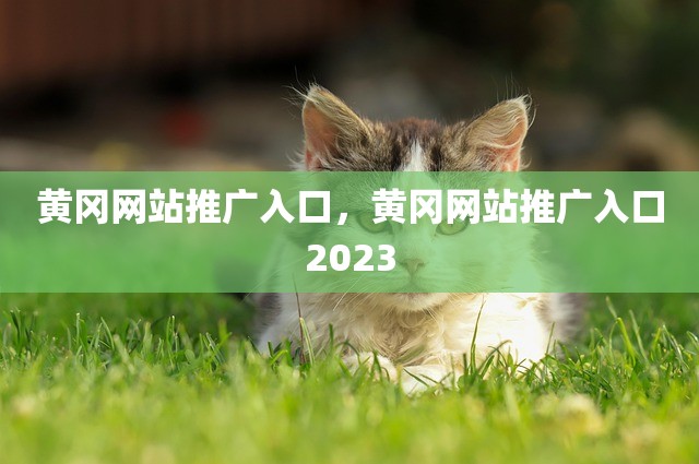 黄冈网站推广入口，黄冈网站推广入口2023