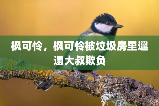 枫可怜，枫可怜被垃圾房里邋遢大叔欺负