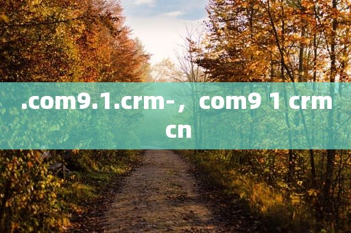 .com9.1.crm-，com9 1 crm cn