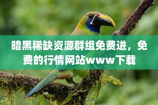 暗黑稀缺资源群组免费进，免费的行情网站www下载