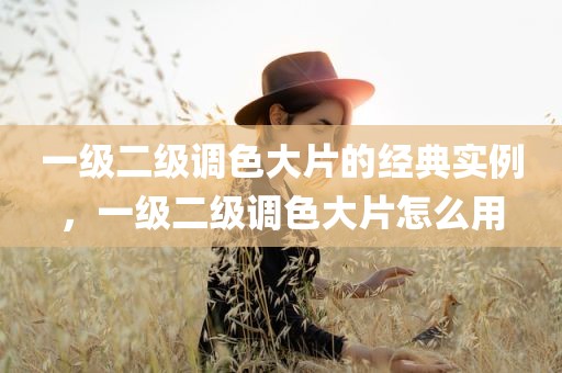一级二级调色大片的经典实例，一级二级调色大片怎么用