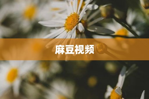 麻豆视频