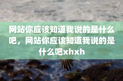 网站你应该知道我说的是什么吧，网站你应该知道我说的是什么吧xhxh