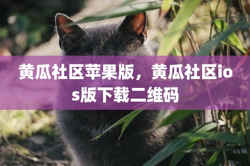 黄瓜社区苹果版，黄瓜社区ios版下载二维码