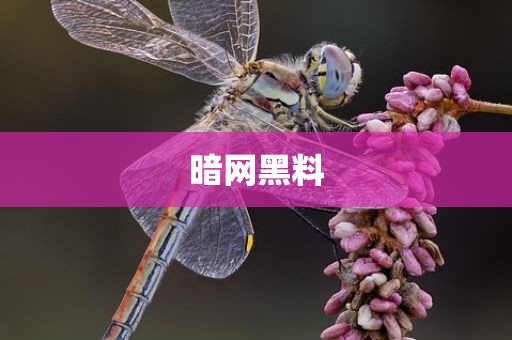 暗网黑料