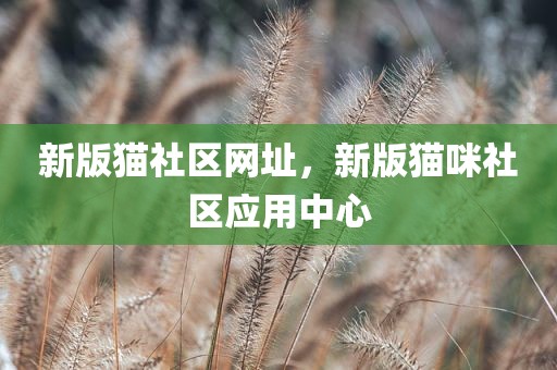 新版猫社区网址，新版猫咪社区应用中心