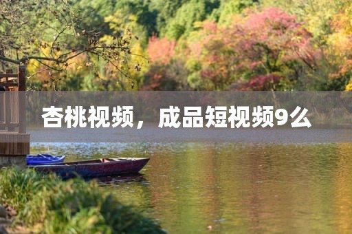 杏桃视频，成品短视频9么