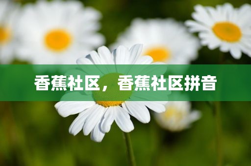 香蕉社区，香蕉社区拼音