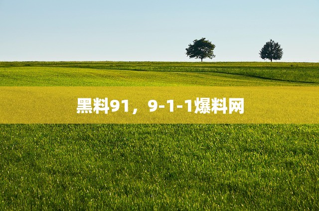 黑料91，9-1-1爆料网