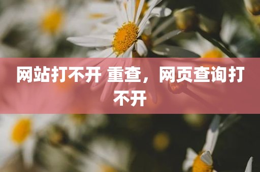 网站打不开 重查，网页查询打不开