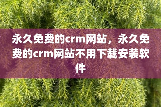 永久免费的crm网站，永久免费的crm网站不用下载安装软件