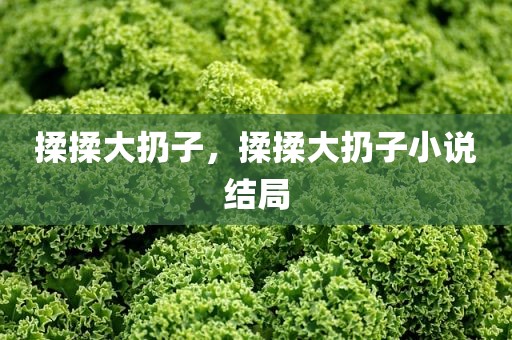 揉揉大扔子，揉揉大扔子小说结局