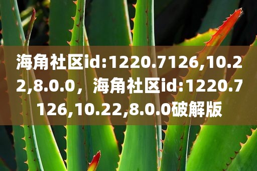 海角社区id:1220.7126,10.22,8.0.0，海角社区id:1220.7126,10.22,8.0.0破解版