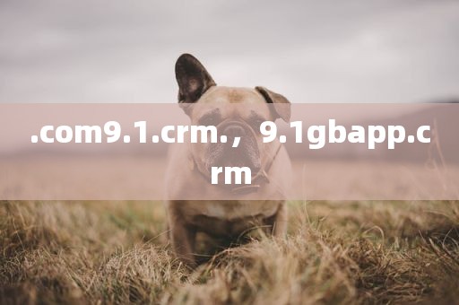 .com9.1.crm.，9.1gbapp.crm