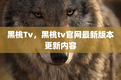 黑桃Tv，黑桃tv官网最新版本更新内容