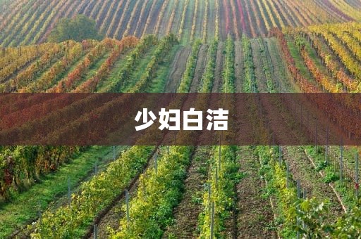 少妇白洁