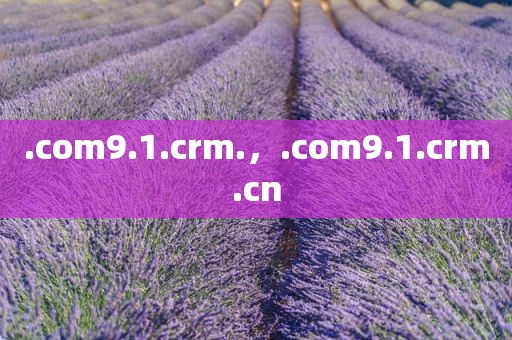 .com9.1.crm.，.com9.1.crm.cn