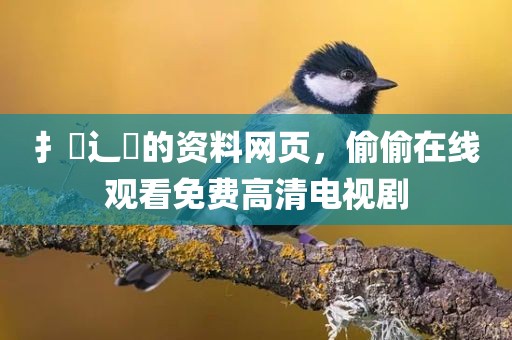 扌喿辶畐的资料网页，偷偷在线观看免费高清电视剧