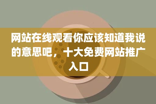 网站在线观看你应该知道我说的意思吧，十大免费网站推广入口