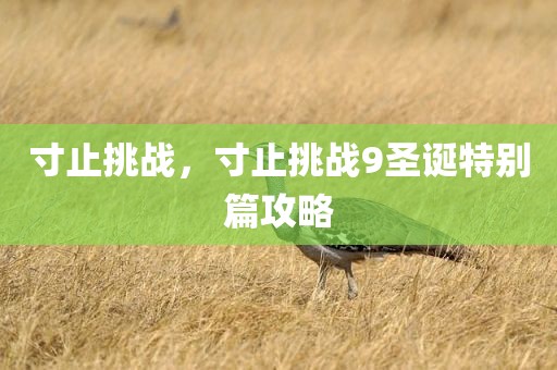 寸止挑战，寸止挑战9圣诞特别篇攻略