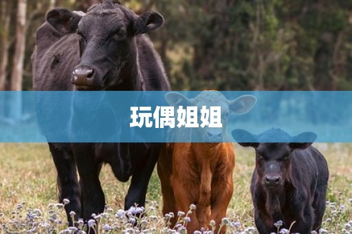 玩偶姐姐