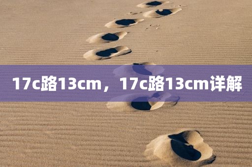 17c路13cm，17c路13cm详解