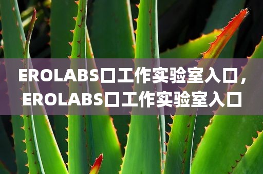 EROLABS口工作实验室入口，EROLABS口工作实验室入口