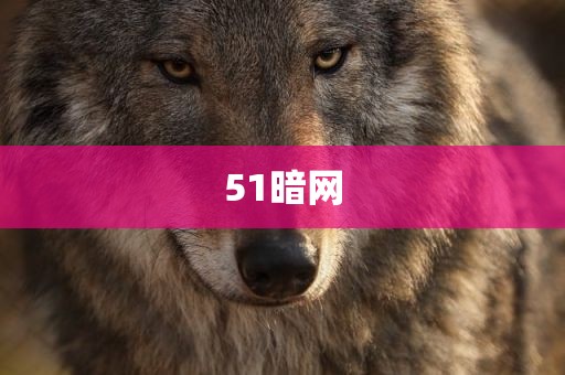 51暗网