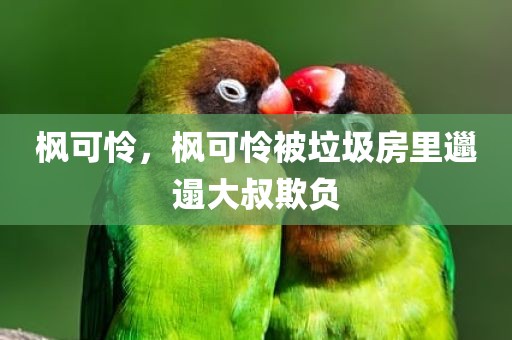 枫可怜，枫可怜被垃圾房里邋遢大叔欺负