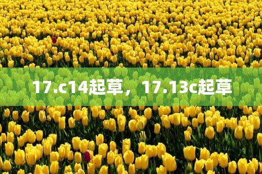 17.c14起草，17.13c起草
